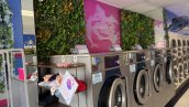 PASADENA LAUNDRY FOR SALE Thumb Image #2